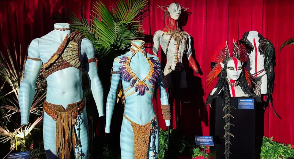 costumes avatar