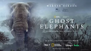 ghost elephants