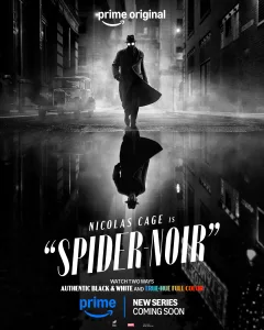 spider-noir black and white poster