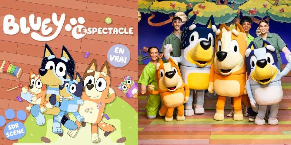 bluey spectacle disney+