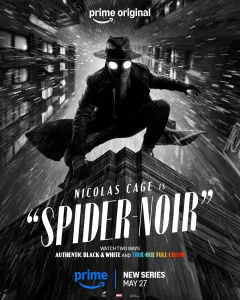 spider-noir black and white poster