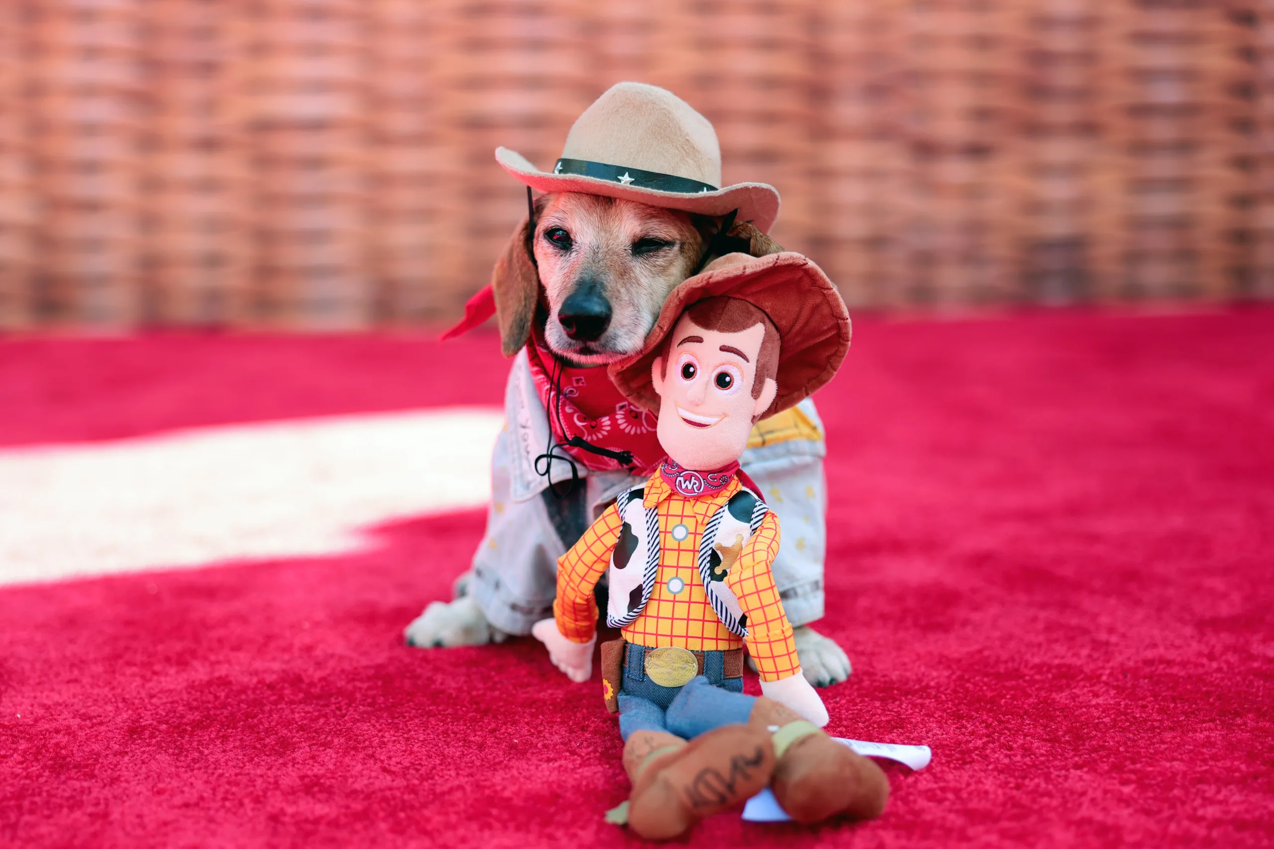avant-première toy story 5