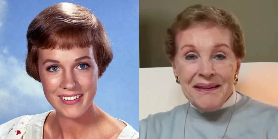 dame julie andrews parkinson