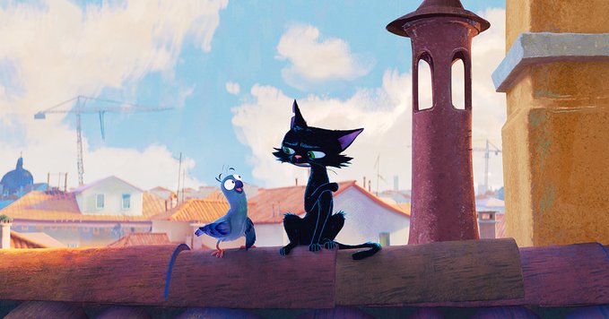gatto d23