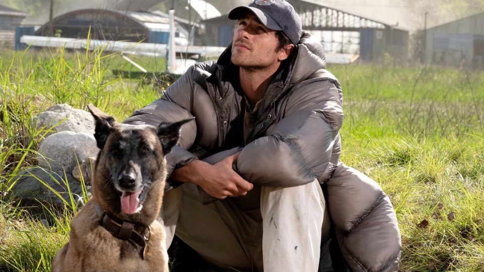 the dog stars démarrage