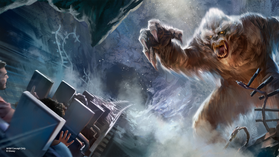yéti expedition everest d23