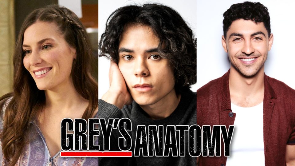 grey's anatomy saison 23 guest stars