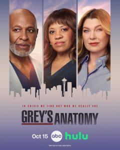 grey's anatomy season 23 poster